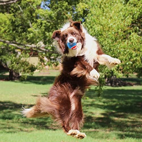Gigwi Писклив Тенис Топка За кучета, Интерактивно Кученце Топка за Дресура на малки и Средни Кучета, 2,5 Цветна Гумена