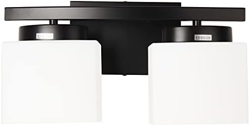 Двухсветный лампа Dosoty за баня над Огледалото, Модерни Матови Черни тела с абажуром от Млечно стъкло, с 14-Инчов осветителни